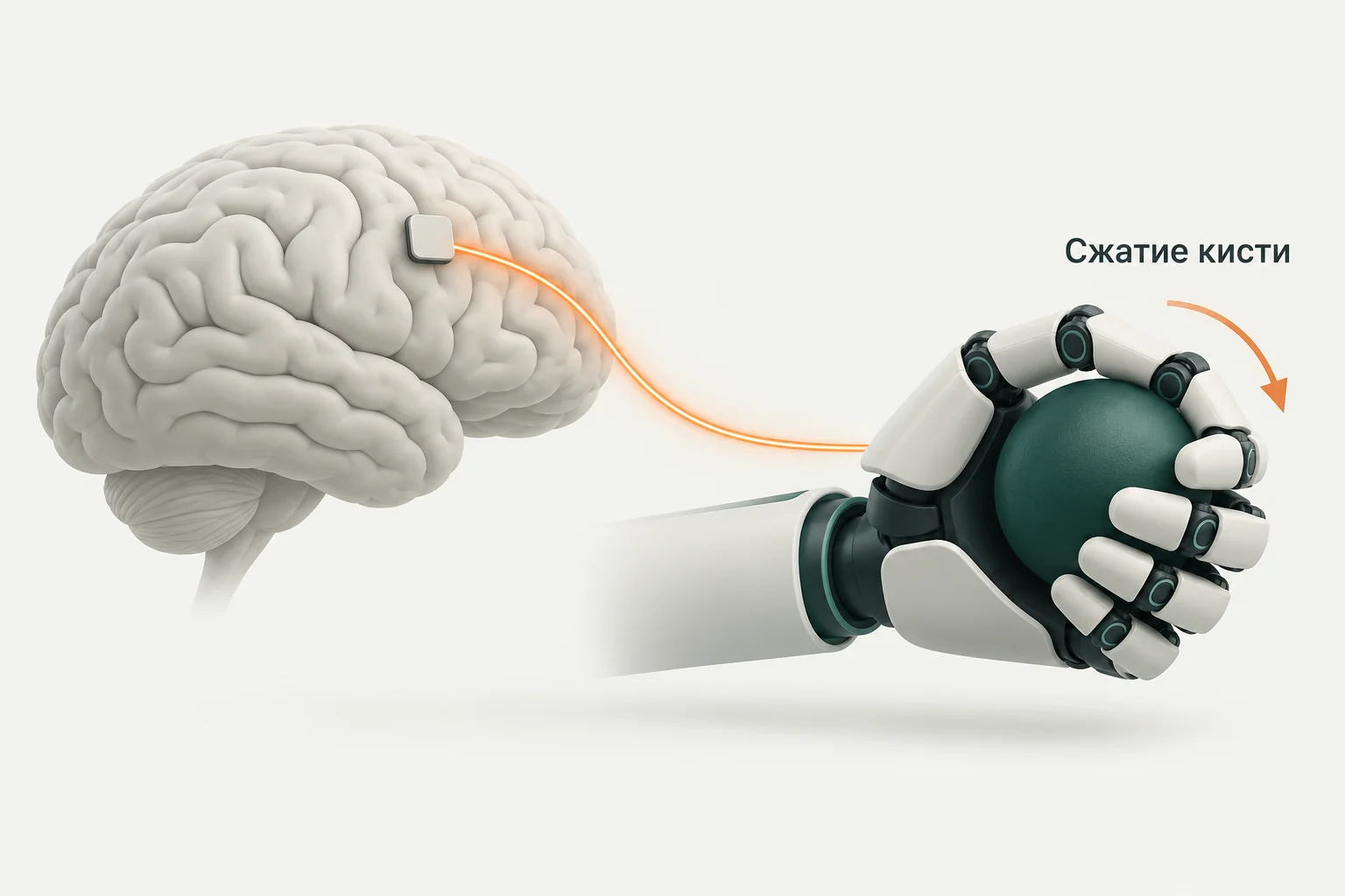 Концептуальная иллюстрация к обзору: Neuracle: сигнал мозга управляет сжатием роботизированной руки